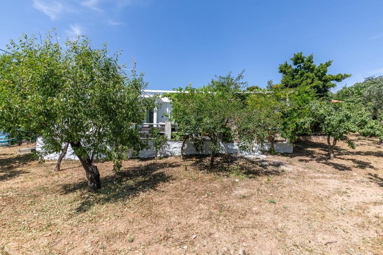 Skopelos Amigdalia Cottage ภายนอก รูปภาพ